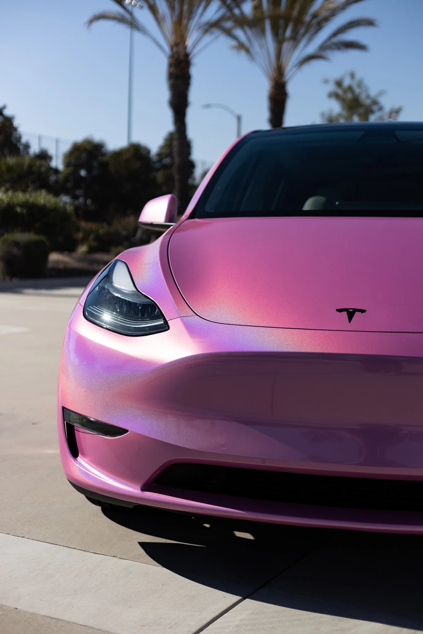 Rainbow Laser Pink