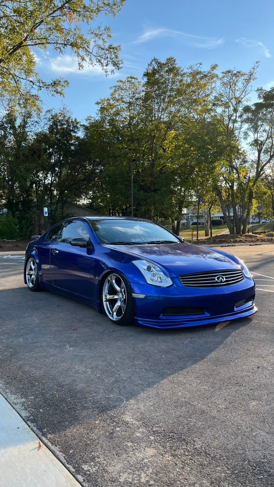Metallic Blueberry Vinyl Wrap