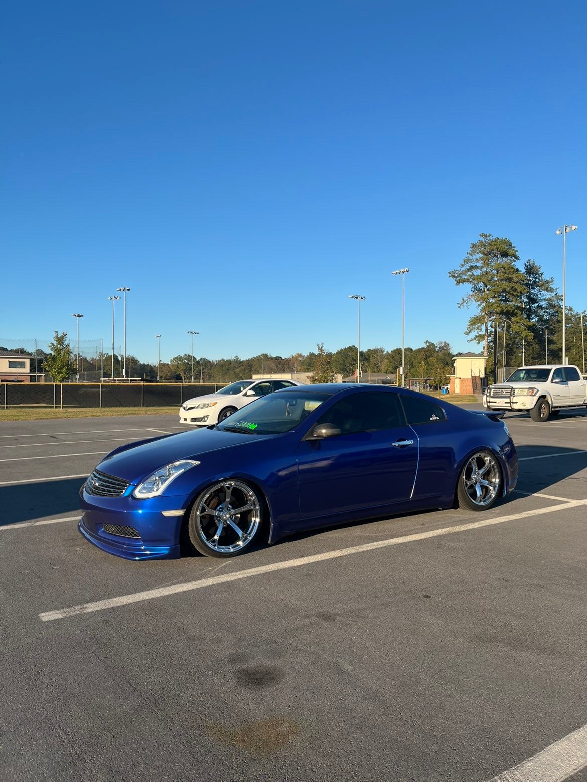 Metallic Blueberry Vinyl Wrap